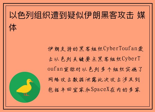 以色列组织遭到疑似伊朗黑客攻击 媒体